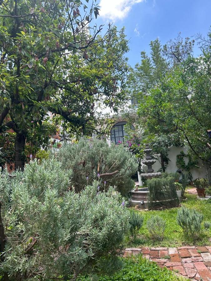 Casa Matia Bed And Breakfast San Miguel de Allende Ngoại thất bức ảnh